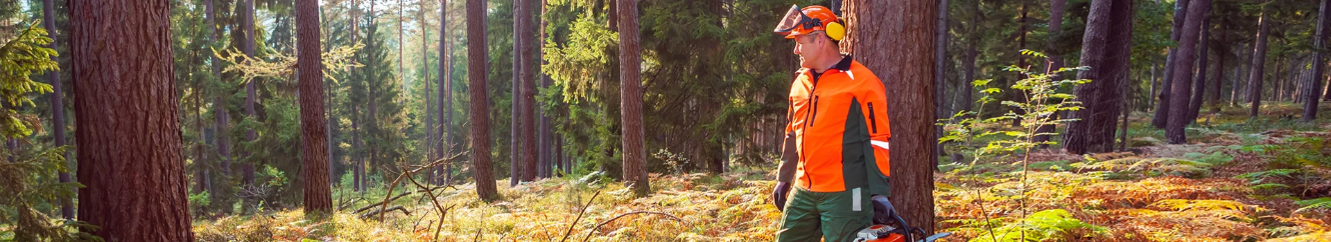 Spezialhelme und Forstschutzhelme